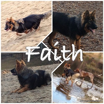 Collage van Faith
